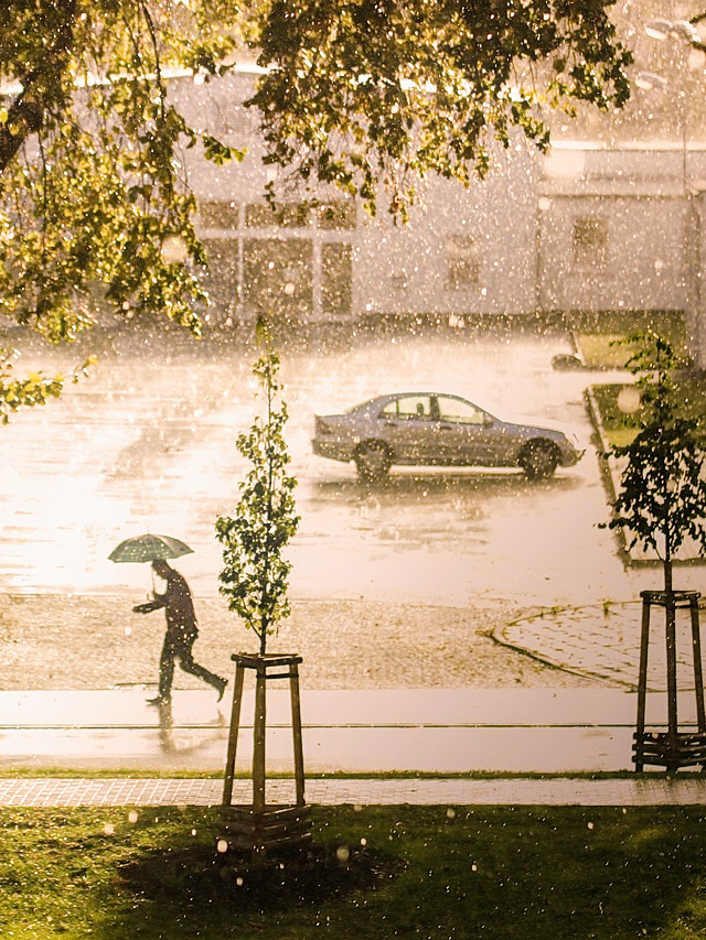 雨中畅想